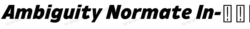 Ambiguity Normate In字体转换